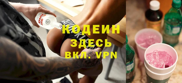 прущие грибы Абинск