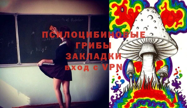 прущие грибы Абинск