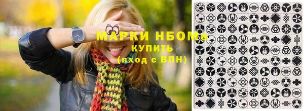 прущие грибы Абинск