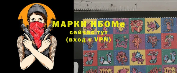прущие грибы Абинск
