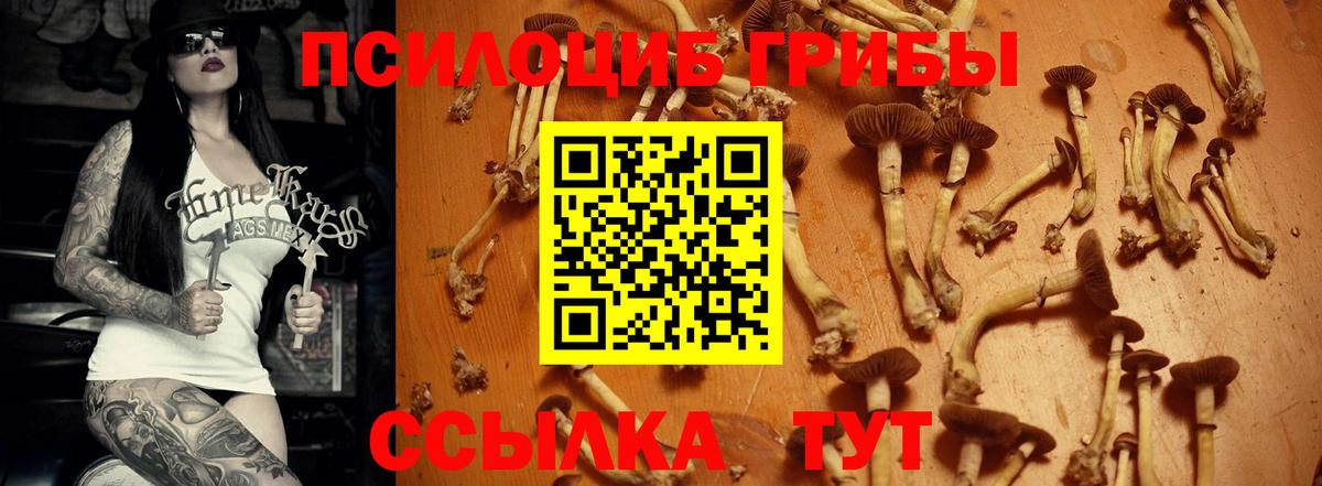 Галлюциногенные грибы MAGIC MUSHROOMS Северодвинск