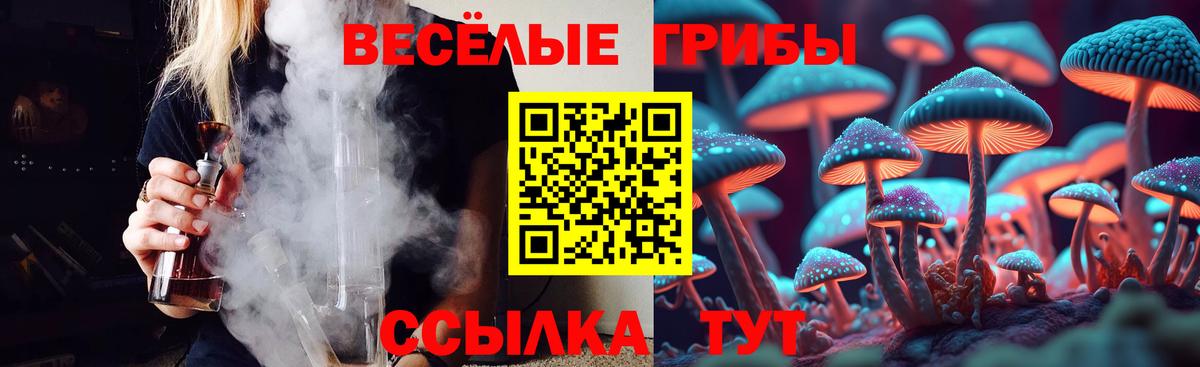 Псилоцибиновые грибы мицелий  Вход с VPN  Псилоцибиновые грибы ЛСД  где купить наркоту  Северодвинск 